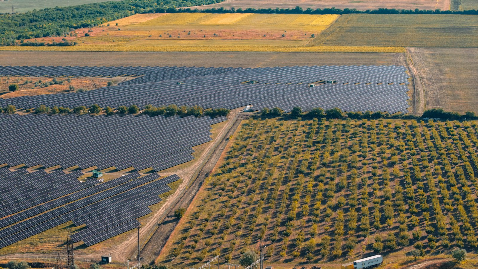 Parco fotovoltaico tra campi e uliveti, visto dall'alto